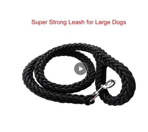 nylon dog harness leash for medium large dogs leads pet training running walking safety mountain climb big dog nylon tenacity rope
nylon dog harness leash for medium large dogs leads pet training running walking safety mountain climb big dog nylon tenacity rope