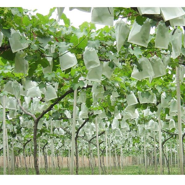 storage bags 100pcs gardening garden plant fruit protect drawstring net bag mesh against insect bird greenhouse for jardinage
storage bags 100pcs gardening garden plant fruit protect drawstring net bag mesh against insect bird greenhouse for jardinage