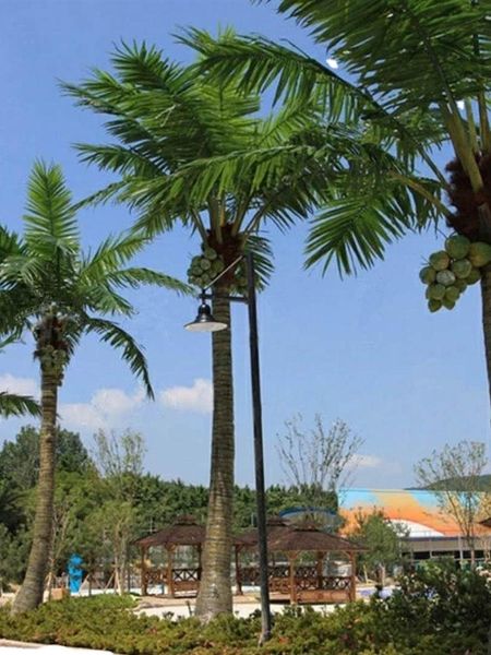 decorative flowers & wreaths yl imitation coconut tree indoor and outdoor shopping mall large tropical green plant decoration palm pot
decorative flowers & wreaths yl imitation coconut tree indoor and outdoor shopping mall large tropical green plant decoration palm pot