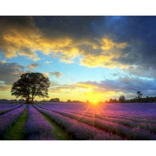 selilali oil picture by numbers kits for adults sunset purple flower painting diy framed on canvas 60x75cm home decor wall p
selilali oil picture by numbers kits for adults sunset purple flower painting diy framed on canvas 60x75cm home decor wall p