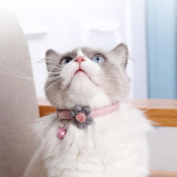 cat collars & leads collar flower with bell adjustable cats harness fashion products for pets cute walking
cat collars & leads collar flower with bell adjustable cats harness fashion products for pets cute walking