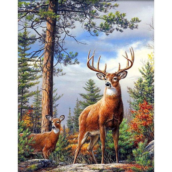 gatyztory frame deer paint by numbers for adults kids handpainted animals oil painting canvas drawing artwork wall decor
gatyztory frame deer paint by numbers for adults kids handpainted animals oil painting canvas drawing artwork wall decor