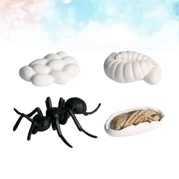 1 set insect growth ornaments display models educational animal decorations early learning supplies (ergate)
1 set insect growth ornaments display models educational animal decorations early learning supplies (ergate)