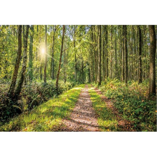 party decoration natural scenery backdrop summer forest trail landscape pography background decor born wedding po booth prop
party decoration natural scenery backdrop summer forest trail landscape pography background decor born wedding po booth prop