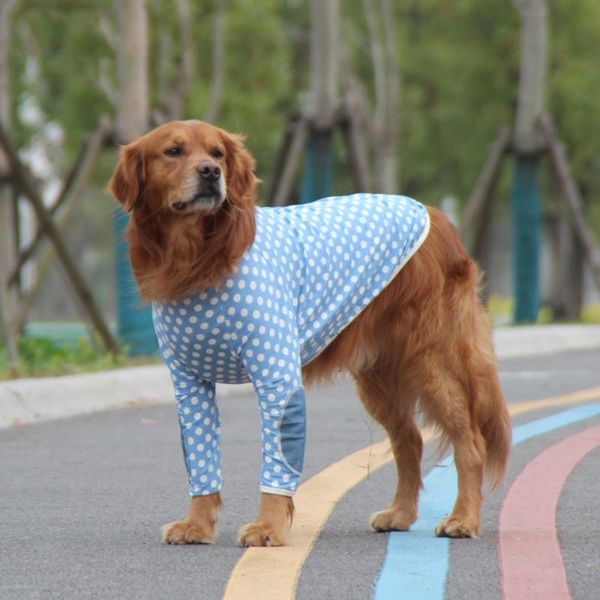dog apparel spring summer big t shirt golden retriever large labrador husky alaska pet dot two-legged clothes costume
dog apparel spring summer big t shirt golden retriever large labrador husky alaska pet dot two-legged clothes costume