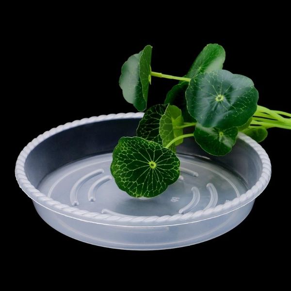 planters & pots 2021 plastic garden flower pot plant saucers water tray base indoor outdoor accessory a813
planters & pots 2021 plastic garden flower pot plant saucers water tray base indoor outdoor accessory a813