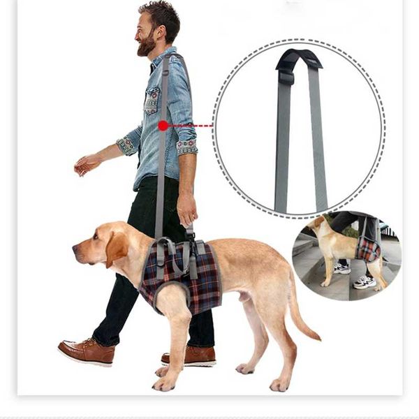 dog collars & leashes pet harness walking support for injury elderly disabled dogs lift large rehabilitation auxiliary belt
dog collars & leashes pet harness walking support for injury elderly disabled dogs lift large rehabilitation auxiliary belt