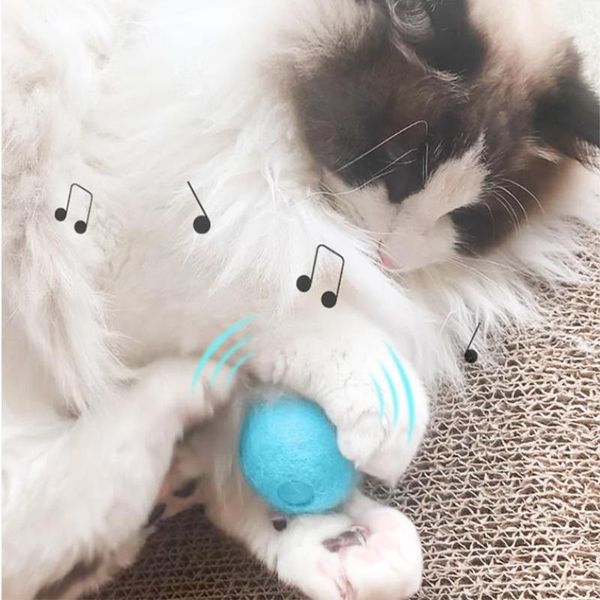 cat toys catnip toy pet interactive ball training play squeaky balls plush eva wool materials kitten self entertainment accessories
cat toys catnip toy pet interactive ball training play squeaky balls plush eva wool materials kitten self entertainment accessories