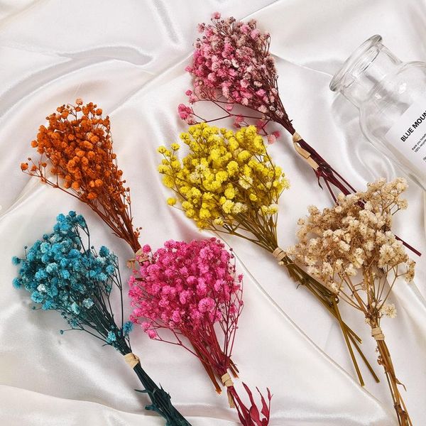 decorative flowers & wreaths mini babysbreath natural dried fresh small bouquet wedding party home press po backdrop decor craft
decorative flowers & wreaths mini babysbreath natural dried fresh small bouquet wedding party home press po backdrop decor craft