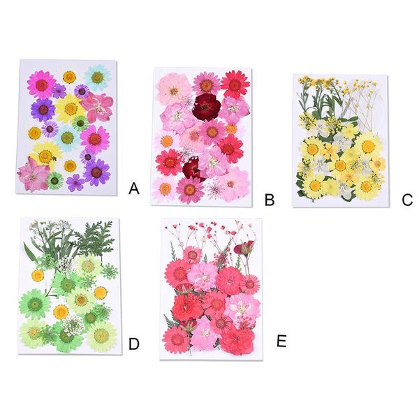 decorative flowers & wreaths pressed flower dried diy art crafts scrapbooking decor multifunctional cnt 66
decorative flowers & wreaths pressed flower dried diy art crafts scrapbooking decor multifunctional cnt 66