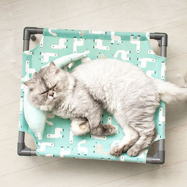 2021 new catden breathabe hammock can be removed and washed with pipe fitting campbed pet four seasons catden dog bed
2021 new catden breathabe hammock can be removed and washed with pipe fitting campbed pet four seasons catden dog bed