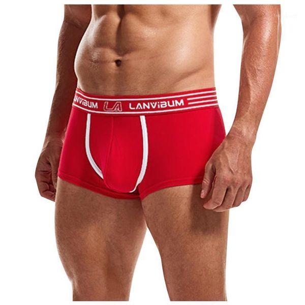 underpants men's briefs fashion knickers solid shorts underwear pants intimates panties cotton 2021#40, Black;white
underpants men's briefs fashion knickers solid shorts underwear pants intimates panties cotton 2021#40, Black;white