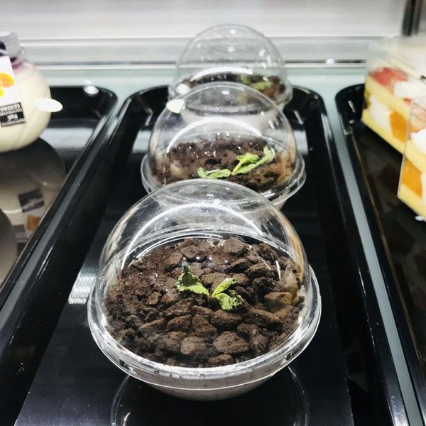 disposable cups & straws 40pcs crystal ball hollow ball-shaped packaging box christmas cup transparent mousse cake food rice pa
disposable cups & straws 40pcs crystal ball hollow ball-shaped packaging box christmas cup transparent mousse cake food rice pa