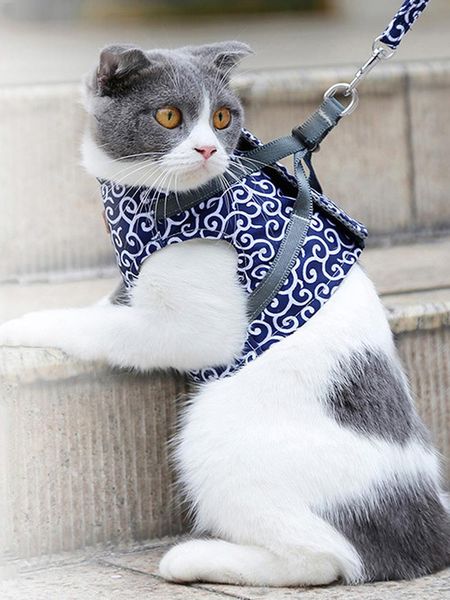 cat collars & leads harness and leash set dogs vest clothes escape proof chest strap for pet clothing
cat collars & leads harness and leash set dogs vest clothes escape proof chest strap for pet clothing