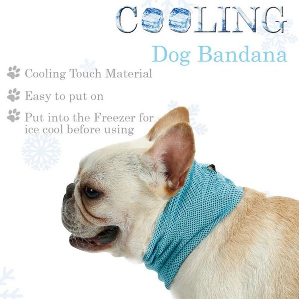 pet dog cool summer triangle bibs neck scarfs for boys girls puppy polyester fiber comfortable dog collars
pet dog cool summer triangle bibs neck scarfs for boys girls puppy polyester fiber comfortable dog collars