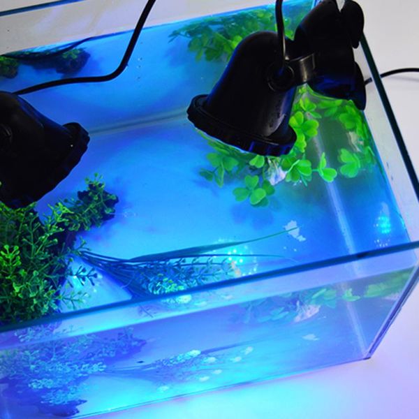 aquariums lighting 3pcs 12v led underwater spotlight lamp 7 colors changing waterproof spot light for garden fountain fish tank pool pond
aquariums lighting 3pcs 12v led underwater spotlight lamp 7 colors changing waterproof spot light for garden fountain fish tank pool pond