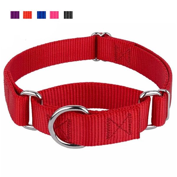 dog collars & leashes heavyduty nylon martingale collar premium safety training for dogs adjustable pet
dog collars & leashes heavyduty nylon martingale collar premium safety training for dogs adjustable pet