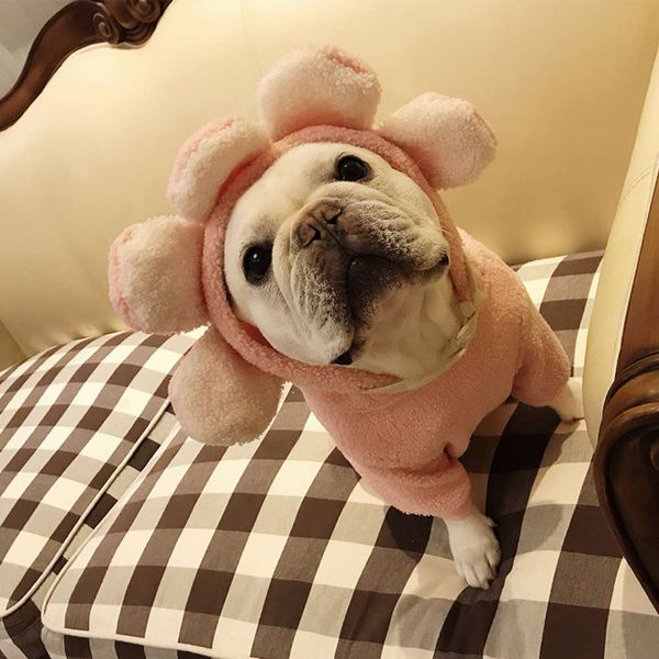 fadou fat dog puge lovely wind petal hat cotton padded cloth flowers autumn and winter
fadou fat dog puge lovely wind petal hat cotton padded cloth flowers autumn and winter