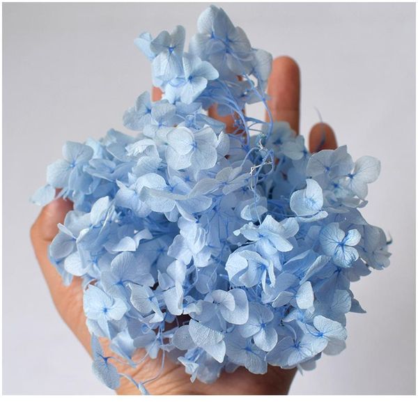 5g/lot hydrangea real dried flower dry plants for aromatherapy candleepoxy pendant necklace jewelry making craft diy acc jllzgm
5g/lot hydrangea real dried flower dry plants for aromatherapy candleepoxy pendant necklace jewelry making craft diy acc jllzgm