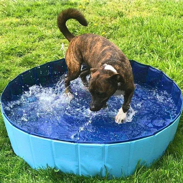 kennels & pens dog pool foldable swimming pet bath cats tub kids drop bathtub bathing collapsible for dogs j9r1
kennels & pens dog pool foldable swimming pet bath cats tub kids drop bathtub bathing collapsible for dogs j9r1