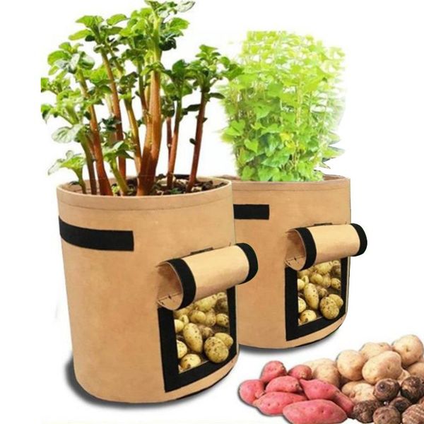 2pcs plant bag home garden potato greenhouse cultivation vegetable planting bag moisturizing jardin tool grow seedling pot
2pcs plant bag home garden potato greenhouse cultivation vegetable planting bag moisturizing jardin tool grow seedling pot