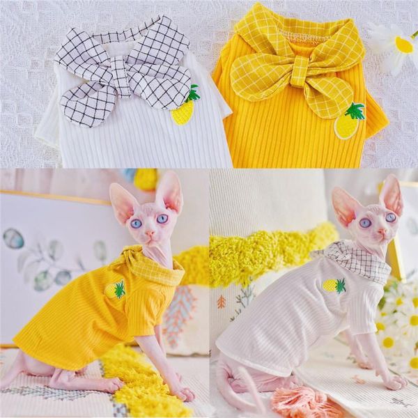 literary sphynx cat clothes pineapple fashion kitty wearing comfort spring summer sphinx hairless cat clothing
literary sphynx cat clothes pineapple fashion kitty wearing comfort spring summer sphinx hairless cat clothing