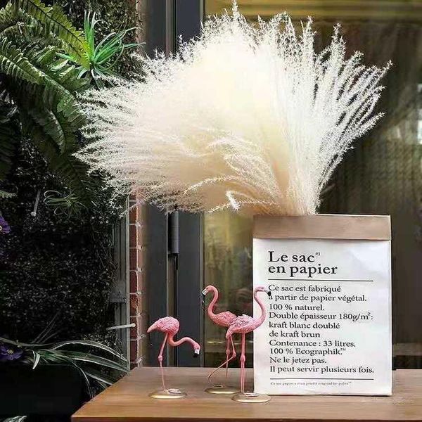dried pampa bulrush natural dry flowers pampas grass phragmites fake flower mothers day easter wedding home decor fleurs sechees
dried pampa bulrush natural dry flowers pampas grass phragmites fake flower mothers day easter wedding home decor fleurs sechees