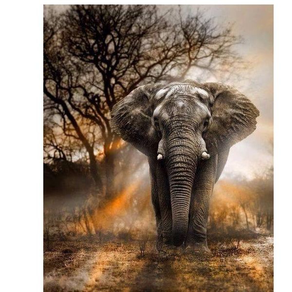 diamond painting 5d diy crystal elephant diamant cat mosaic rhinestones embroidery cross stitch home decor qt54
diamond painting 5d diy crystal elephant diamant cat mosaic rhinestones embroidery cross stitch home decor qt54
