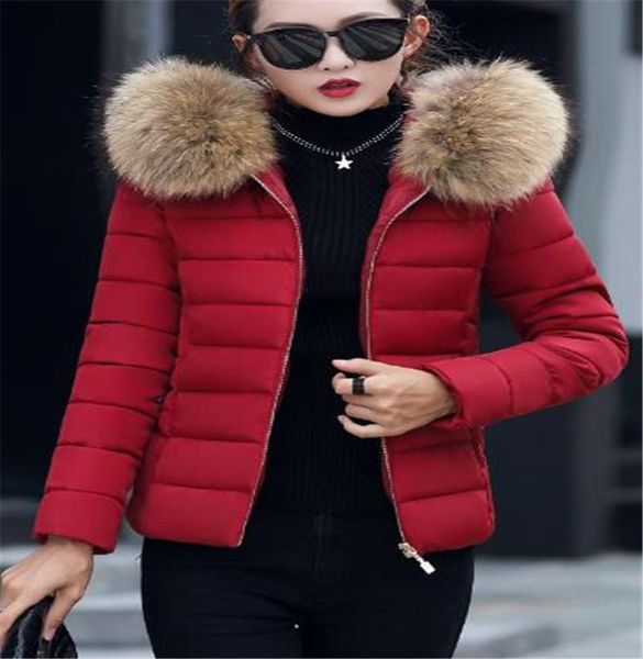 women's down & parkas basic cotton padded jacket coat short slim hooded home leisure perso, Black
women's down & parkas basic cotton padded jacket coat short slim hooded home leisure perso, Black