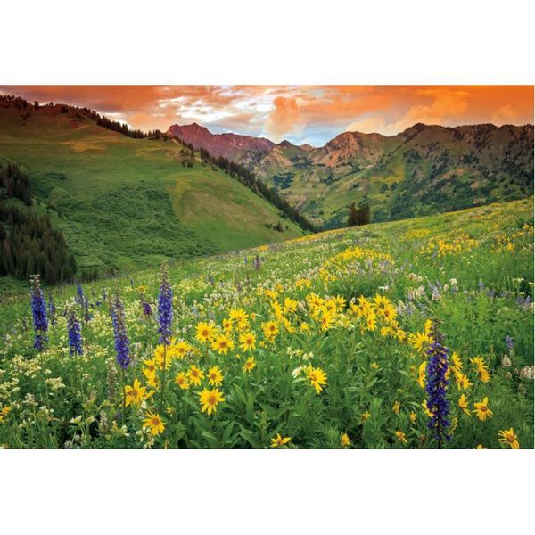 party decoration natural scenery backdrop daisy lavender flowers at sunset pography background decor born wedding po booth prop
party decoration natural scenery backdrop daisy lavender flowers at sunset pography background decor born wedding po booth prop