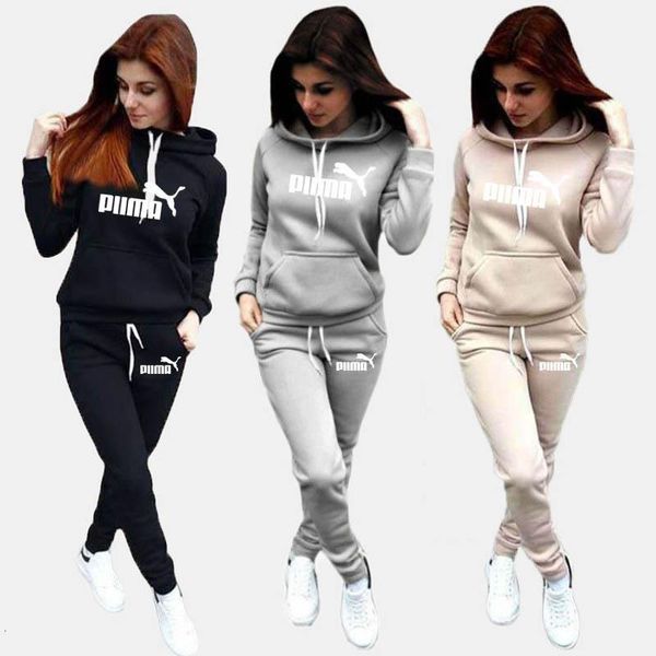 women hoodies pant clothing set new casual 2 piece clothes solid tracksuit women set pants ladies suit, Gray
women hoodies pant clothing set new casual 2 piece clothes solid tracksuit women set pants ladies suit, Gray