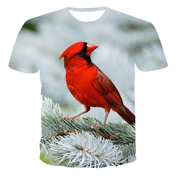 men's t-shirts summer t-shirt animal bird 3d printing hd male street hip hop casual sports streetwear loose, White;black
men's t-shirts summer t-shirt animal bird 3d printing hd male street hip hop casual sports streetwear loose, White;black
