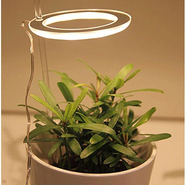 led grow light full spectrum seed plants flowers greenhouses lamp for plants growth lighting for indoor plant
led grow light full spectrum seed plants flowers greenhouses lamp for plants growth lighting for indoor plant