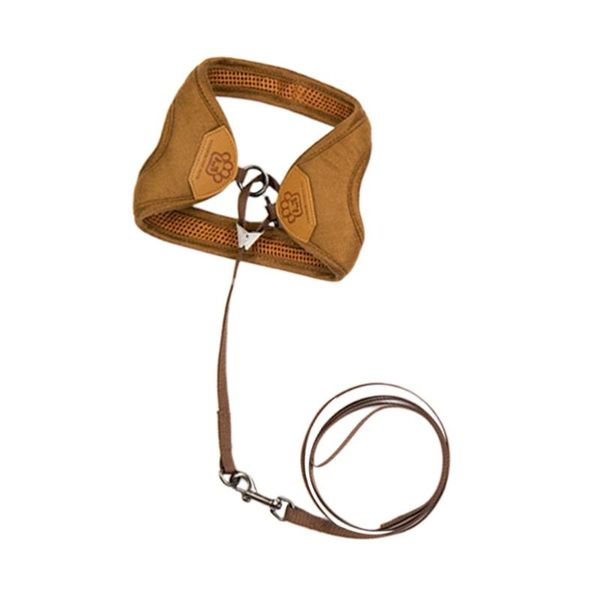 dog apparel pet cat harness traction rope dull polish strap supplies for size coffee
dog apparel pet cat harness traction rope dull polish strap supplies for size coffee