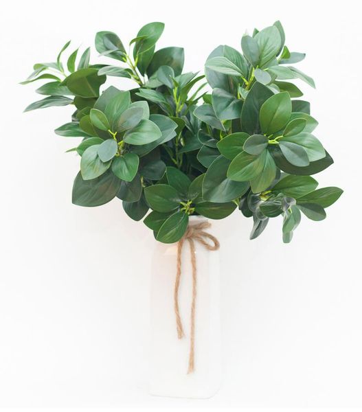 3 fork rose leaves happiness leaf wedding large green vegetation leaf flower arrangement leaves with wood money eucalyptus
3 fork rose leaves happiness leaf wedding large green vegetation leaf flower arrangement leaves with wood money eucalyptus