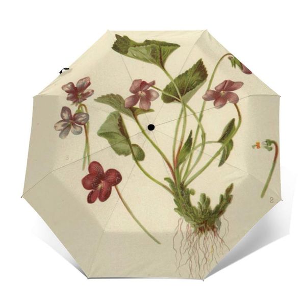 umbrellas flowers umbrella auto uv protection beautiful painting terrace lightweight
umbrellas flowers umbrella auto uv protection beautiful painting terrace lightweight