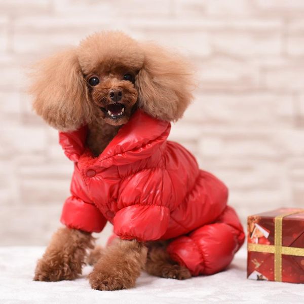 dog apparel winter clothes cotton clothing down jacket puppy warm coats soft jumpsuit thickening padded
dog apparel winter clothes cotton clothing down jacket puppy warm coats soft jumpsuit thickening padded