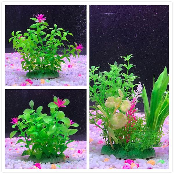 decorations aquarium landscaping simulation water grass landscape plastic artificial plants foreground decor
decorations aquarium landscaping simulation water grass landscape plastic artificial plants foreground decor