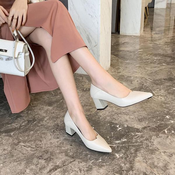 dress shoes 2021 pointed toe square heels casual black beige lofters slip-ons women pump working 11801abx3931
dress shoes 2021 pointed toe square heels casual black beige lofters slip-ons women pump working 11801abx3931