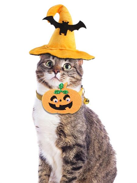 cat costumes fun headdress ornaments hat pet supplies hats pumpkin collar bat accessories suit halloween
cat costumes fun headdress ornaments hat pet supplies hats pumpkin collar bat accessories suit halloween