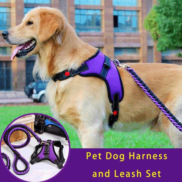 dog collars & leashes pet harness and leash set for small medium dogs cat nylon mesh vest accessories
dog collars & leashes pet harness and leash set for small medium dogs cat nylon mesh vest accessories