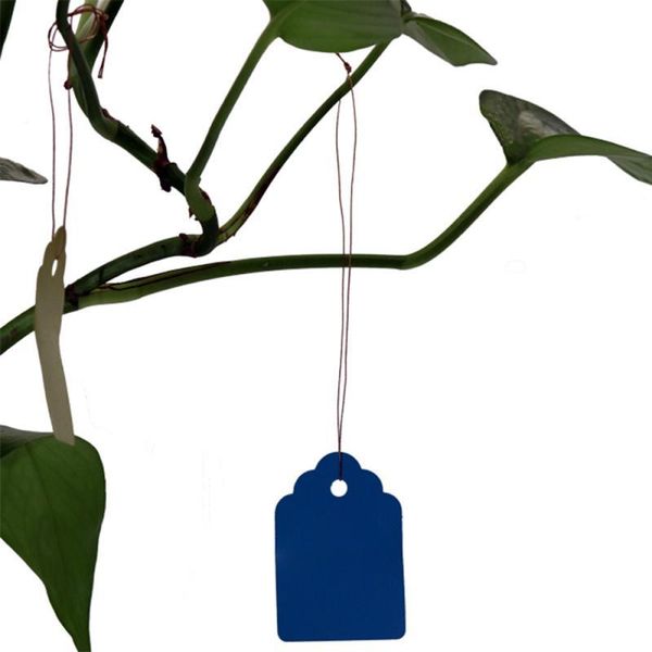 garden decorations suef reusable 50pcs plants hang tag labels seeding flower pot plastic tags number plate hangting pvc tools
garden decorations suef reusable 50pcs plants hang tag labels seeding flower pot plastic tags number plate hangting pvc tools