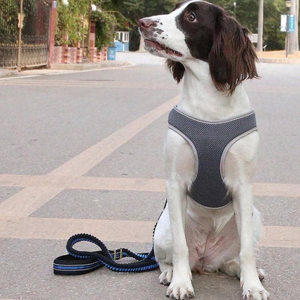 dog collars & leashes hand holding rope vest chest strap reflective comfortable durable nylon material adjustable pet supplies
dog collars & leashes hand holding rope vest chest strap reflective comfortable durable nylon material adjustable pet supplies