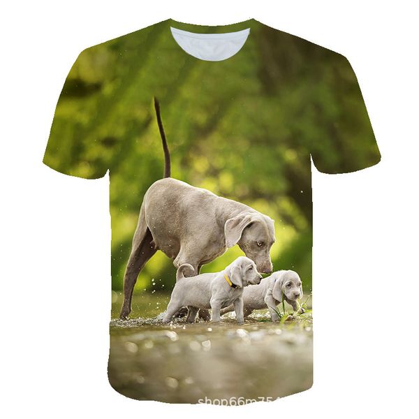 Hairless Dog Pattern Men 3D Print T-shirt Graphic Optical Illusion Short Sleeve Party Tops Streetwear Punk & Gothic Round Neck Summer, White;black
Hairless Dog Pattern Men 3D Print T-shirt Graphic Optical Illusion Short Sleeve Party Tops Streetwear Punk & Gothic Round Neck Summer, White;black