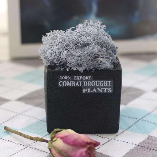 100g natural plant immortal flower reindeer moss home garden living room wall lawn decorative diy mini flower accessories
100g natural plant immortal flower reindeer moss home garden living room wall lawn decorative diy mini flower accessories