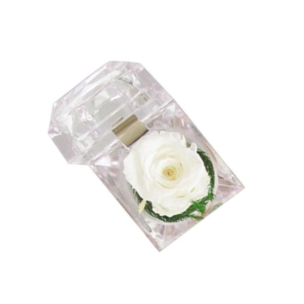 acrylic rose ring box valentine's day preserved immortal flowers gift dried romantic bouquet birthday x1v2
acrylic rose ring box valentine's day preserved immortal flowers gift dried romantic bouquet birthday x1v2
