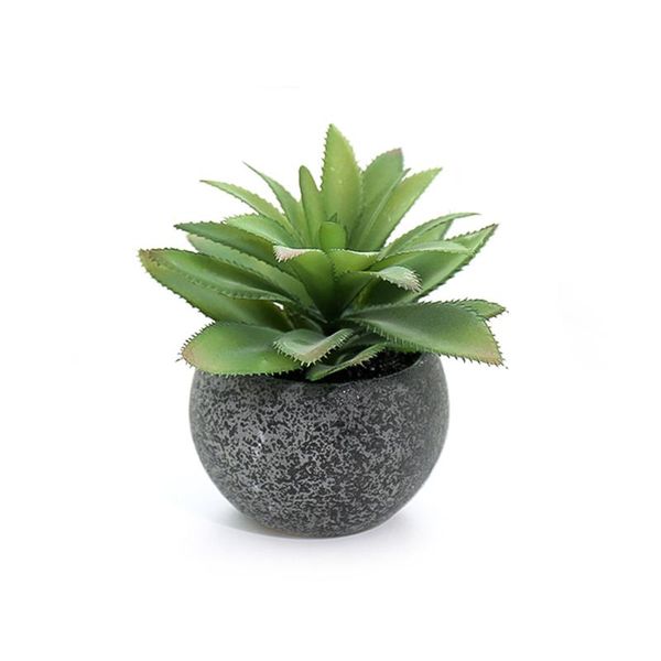 artificial succulent plants fake flower vase home balcony decoration realistic and natural pottery pot faux succulents
artificial succulent plants fake flower vase home balcony decoration realistic and natural pottery pot faux succulents