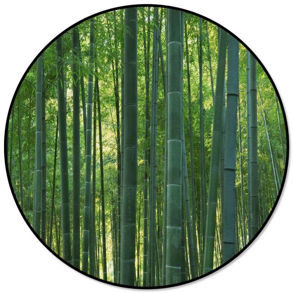 carpets green bamboo forest sun plant carpet for living room children bed floor round home decor rugs soft mat
carpets green bamboo forest sun plant carpet for living room children bed floor round home decor rugs soft mat