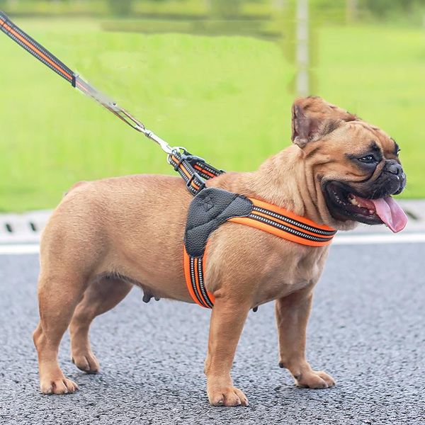 dog collars & leashes lurxy dogs pets accessories reflective breathable leather vest leash harness sets cat collar puppy small walking lead
dog collars & leashes lurxy dogs pets accessories reflective breathable leather vest leash harness sets cat collar puppy small walking lead