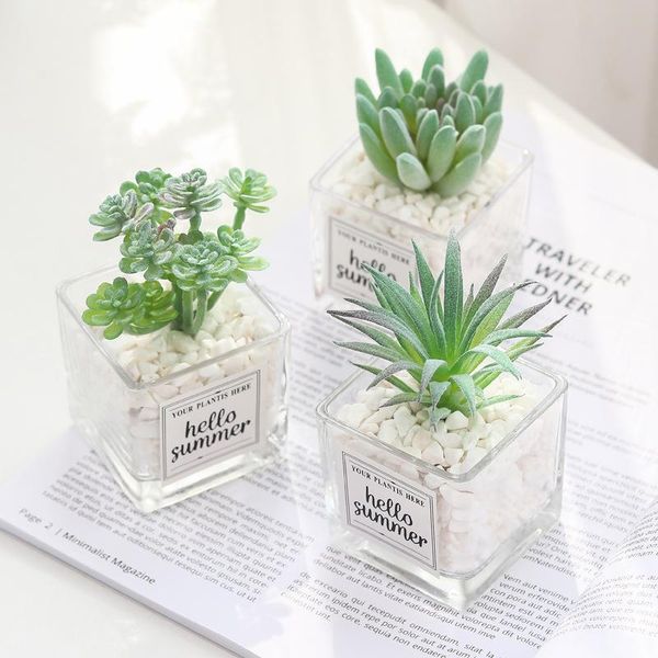 nordic simulation plant mini succulent potted plant decoration creative stone glass bottle green deskdecoration
nordic simulation plant mini succulent potted plant decoration creative stone glass bottle green deskdecoration